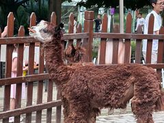 -西安秦岭野生动物园