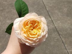 -乐天心晴·专业心理咨询(静安店)