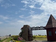 -空港花田景区