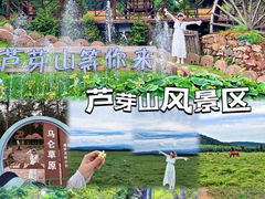 -芦芽山旅游度假区