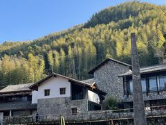 -MOJ coffee(瓯海泽雅水碓坑店)