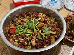 -食神又名厕所兔
