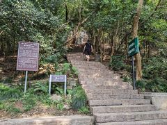 -紫金山山顶公园