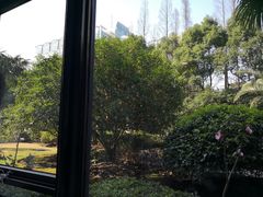 -维乐口腔(格林门诊长宁店)