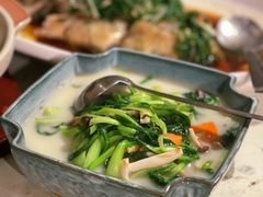 上汤鸡毛菜-T館·花园艺术餐厅