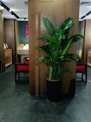 -盘子女人坊生日照·摄影馆(华强店)