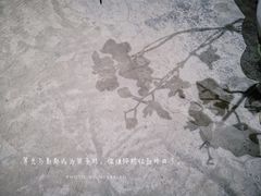 -春庄咖啡SpringHues(钟楼小区店)