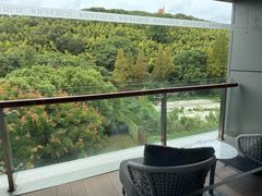 -上海佘山世茂艾美酒店