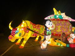 -武汉园博园(武汉自然博物馆)