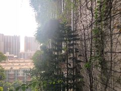 -碧桂园总部大楼