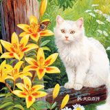 治愈心灵的猫咪画作