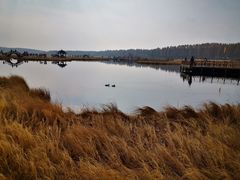 -塞罕坝国家级自然保护区