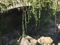 -林坑古村落