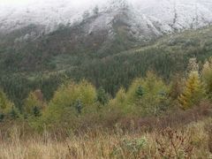 -硗碛藏寨·神木垒景区