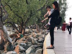 -宝安西湾红树林湿地公园