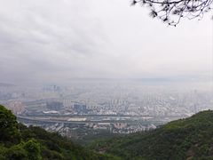 -金鸡山公园