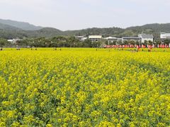 -古田会议纪念馆