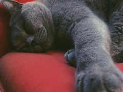 -壹人壹像工作室(购物公园店)