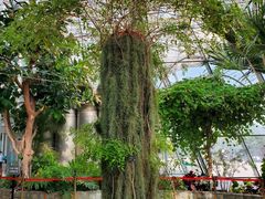 -北京植物园-展览温室