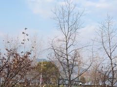 -宝荣鱼馆·临湖之宴(千岛湖店)