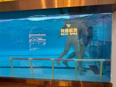 -优加国际游泳中心(开发区万达店)