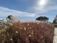 -野鸭湖国家湿地公园