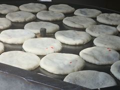 -眼镜粑粑