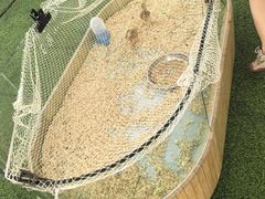 -湘当有饭剁椒鱼头(昆山招商花园城店)