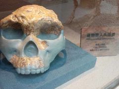 -陕西自然博物馆