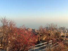 -崂山巨峰游览区