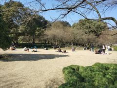 -杭州植物园