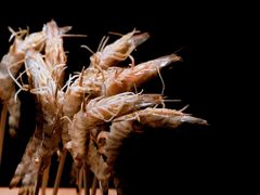 -澜棠海鲜(余姚阳明古镇店)