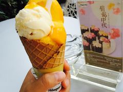 -哈根达斯(武汉天地店)