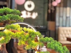 -喜上喜鸡煲翅(吉大店)