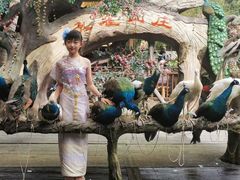 -西双版纳原始森林公园