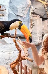 -Zoolung Zoolung动物主题公园(海信广场店)