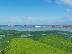 -日照灯塔风景区