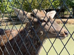 -泗洪洪泽湖湿地景区