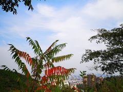 -浮山香苑