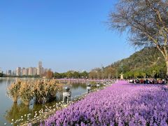 -顺峰山公园
