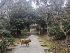 -九龙潭景区