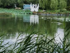 -朝阳公园