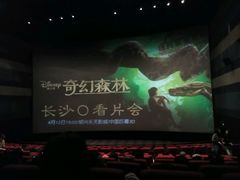 -万达影城(长沙婚庆公园中国巨幕店)