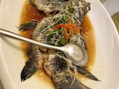 -骏莱海鲜鱼港(五角场店)