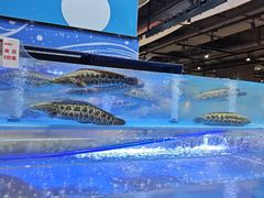 -永辉超市(嘉定宝龙广场店)