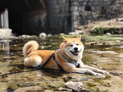 -白水寺森林公园