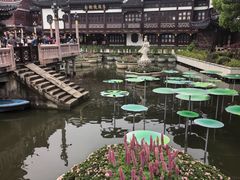 -豫园湖心亭茶楼