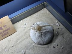 -亚龙湾中心广场·贝壳馆