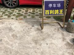 -百利鸽王(紫薇路店)