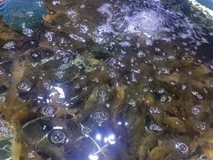 -聚盛源蒸汽海鲜火锅烤肉自助(巨川金海岸购物广场店)